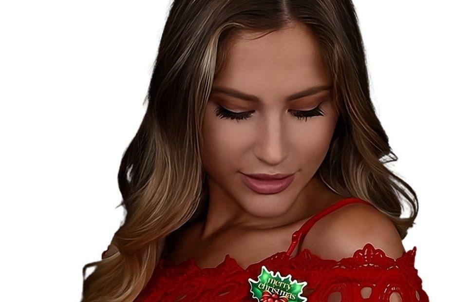 Merry Christmas Holly Flashing Blinky Body Light Lapel Pins All Products