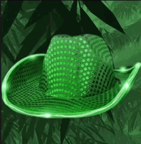 LED Flashing Cowboy Hat with Green Sequins All Products 5