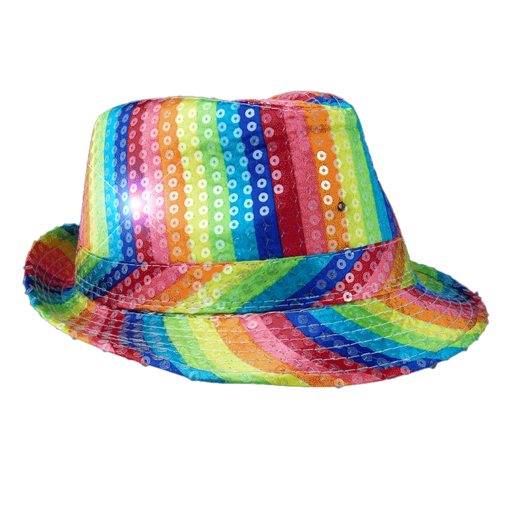 Light Up LED Flashing Fedora Hat with Rainbow Sequins All Products 4