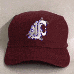 Washington State Cougars Flashing Fiber Optic Cap
