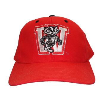 Wisconsin Badgers Flashing Fiber Optic Cap All Products