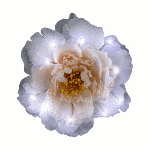 White on White on White LED Flower Hair Clip All Products