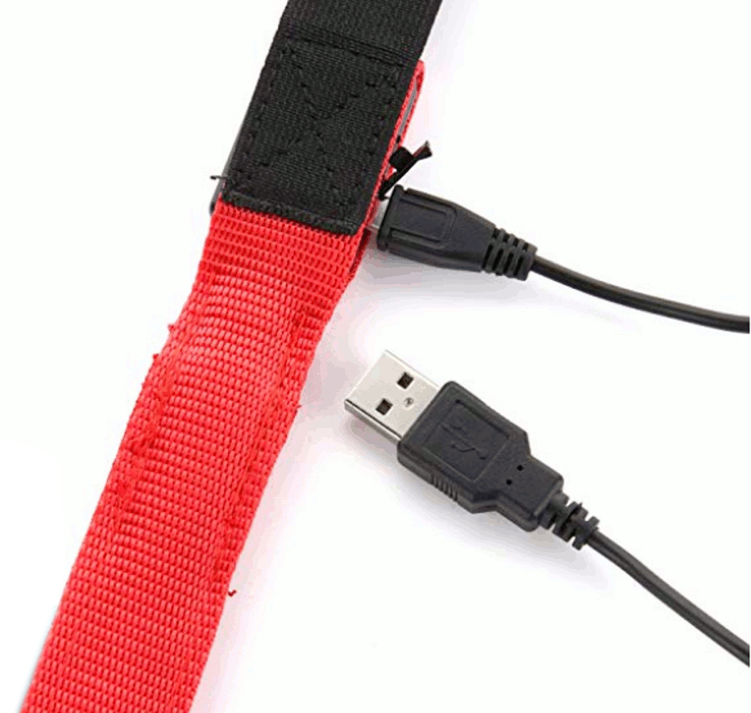 Rechargeable Red LED Suspenders USB All Products 4