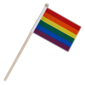 Non Light Up Flag on Stick Rainbow Non-Light Up Fun