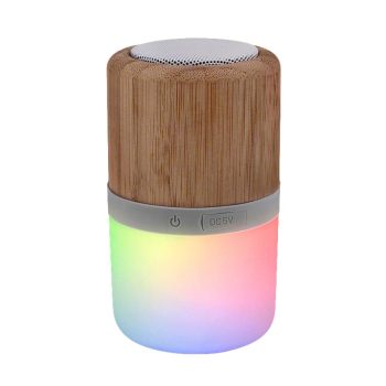 USB Rechargeable Light Up Color Changing Multicolor Bluetooth Speaker All Products