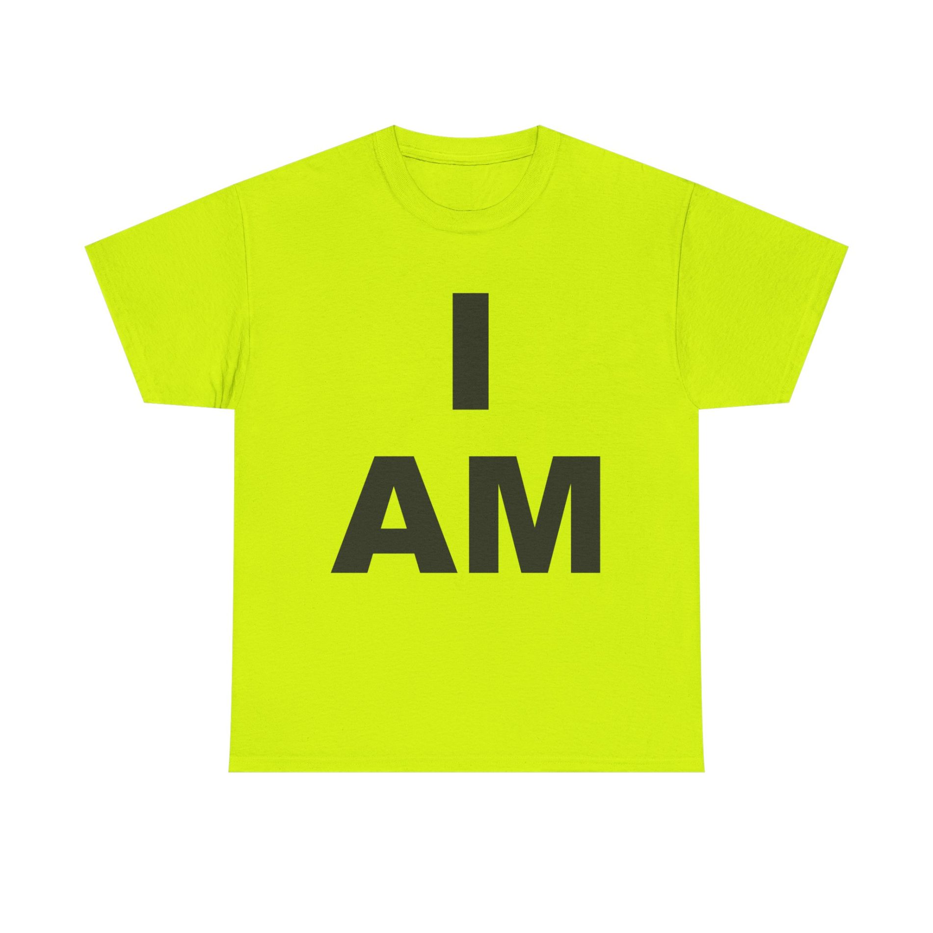 “I AM” Consciousness Tee – Declare Your Infinite Self 31