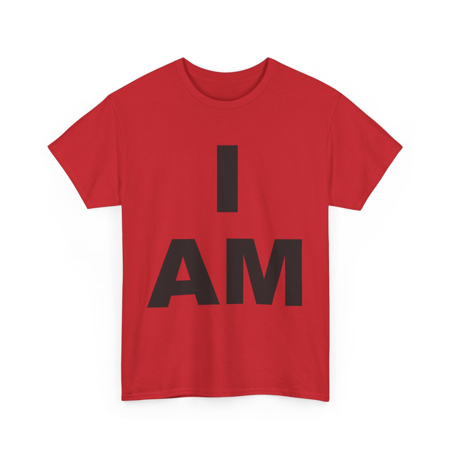 “I AM” Consciousness Tee – Declare Your Infinite Self 49