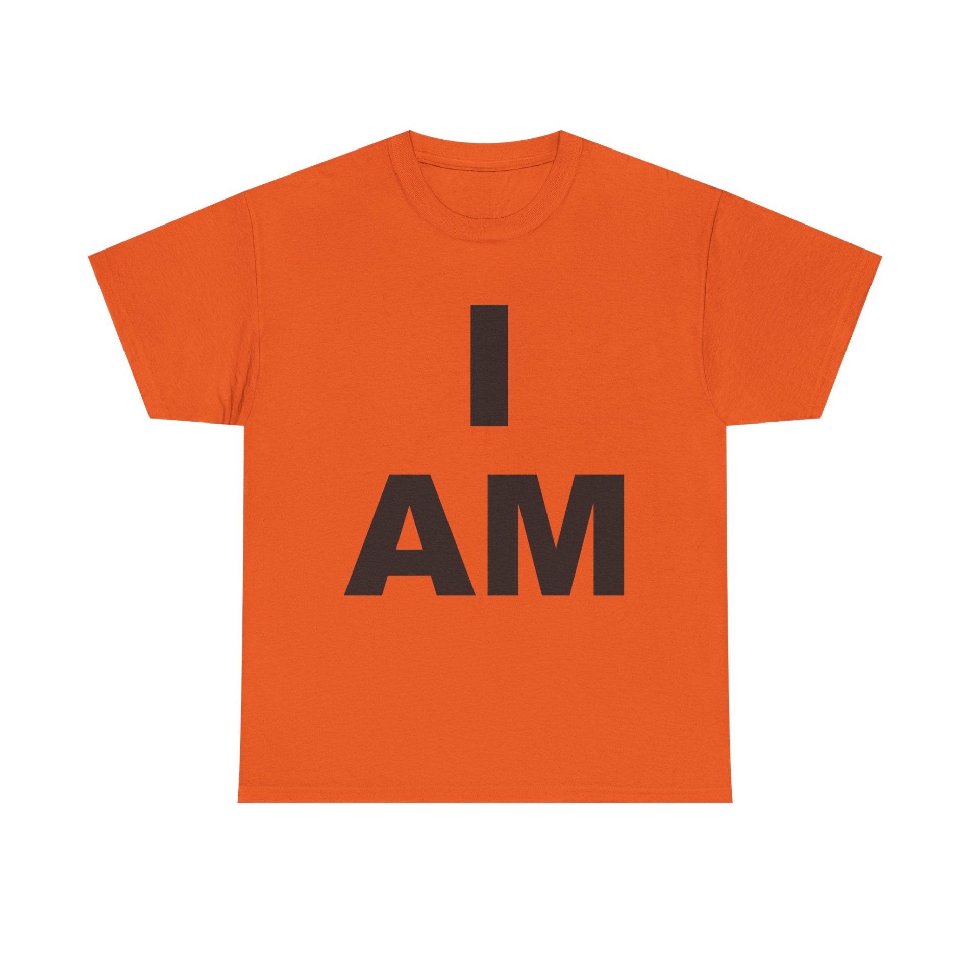 “I AM” Consciousness Tee – Declare Your Infinite Self 23