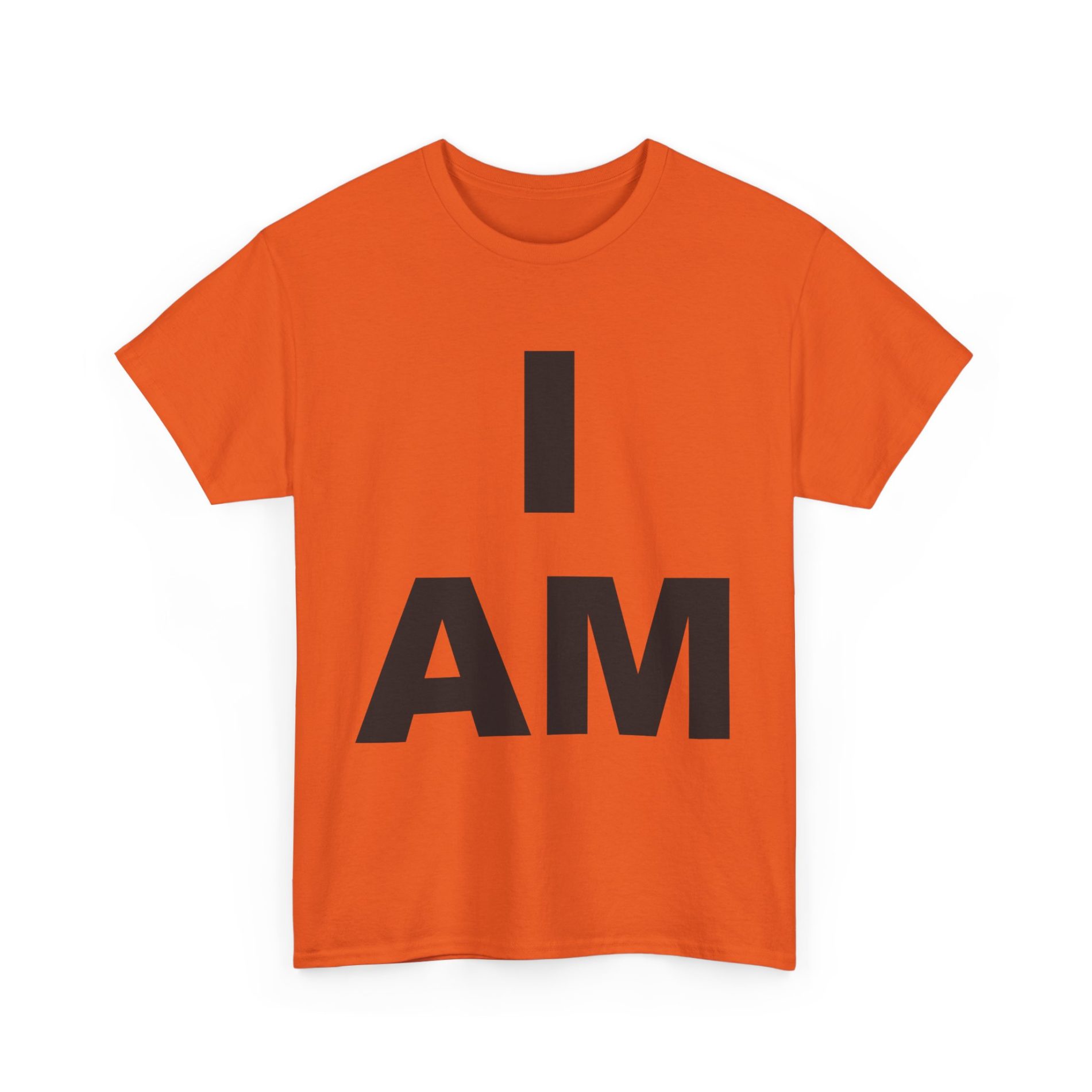 “I AM” Consciousness Tee – Declare Your Infinite Self 25