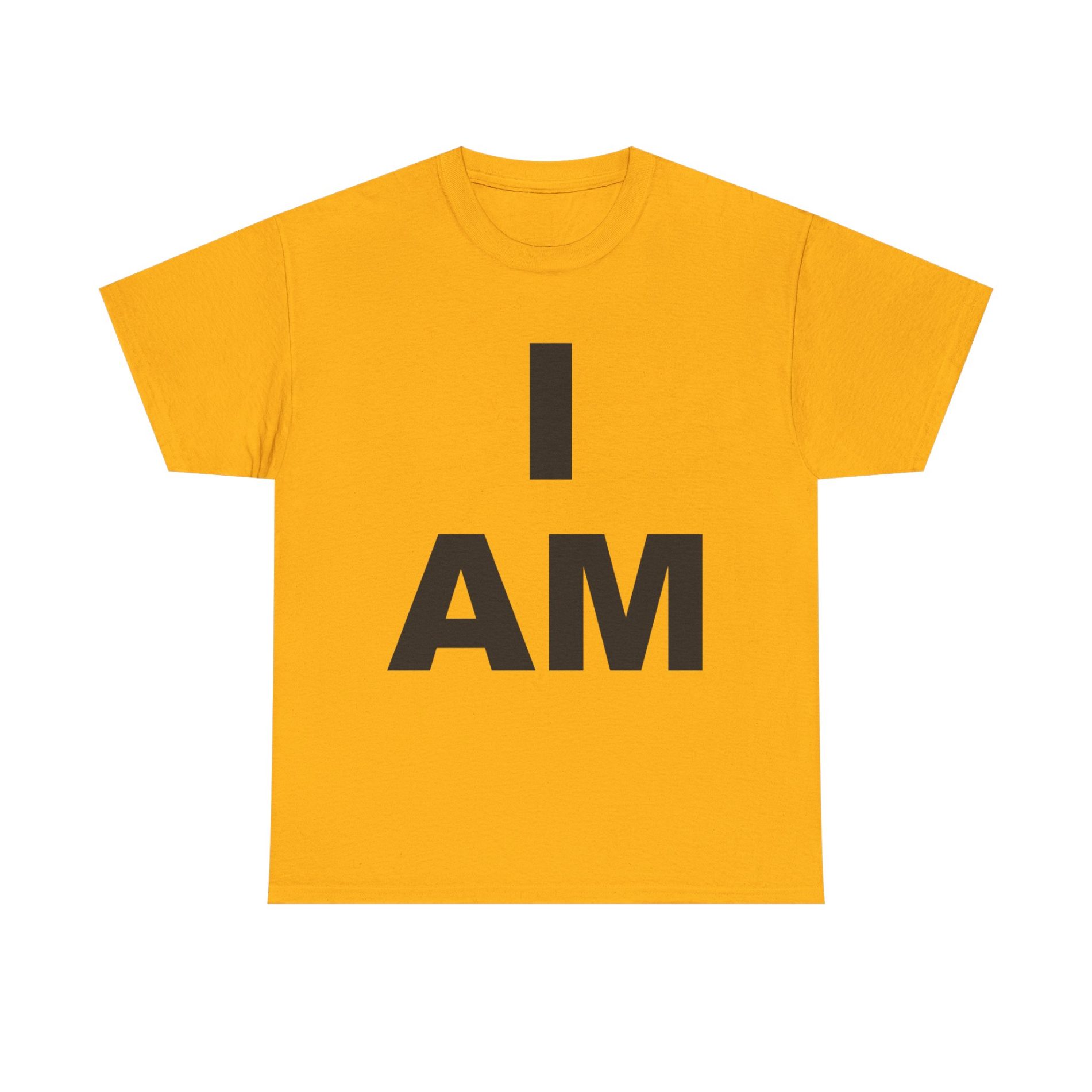 “I AM” Consciousness Tee – Declare Your Infinite Self 15