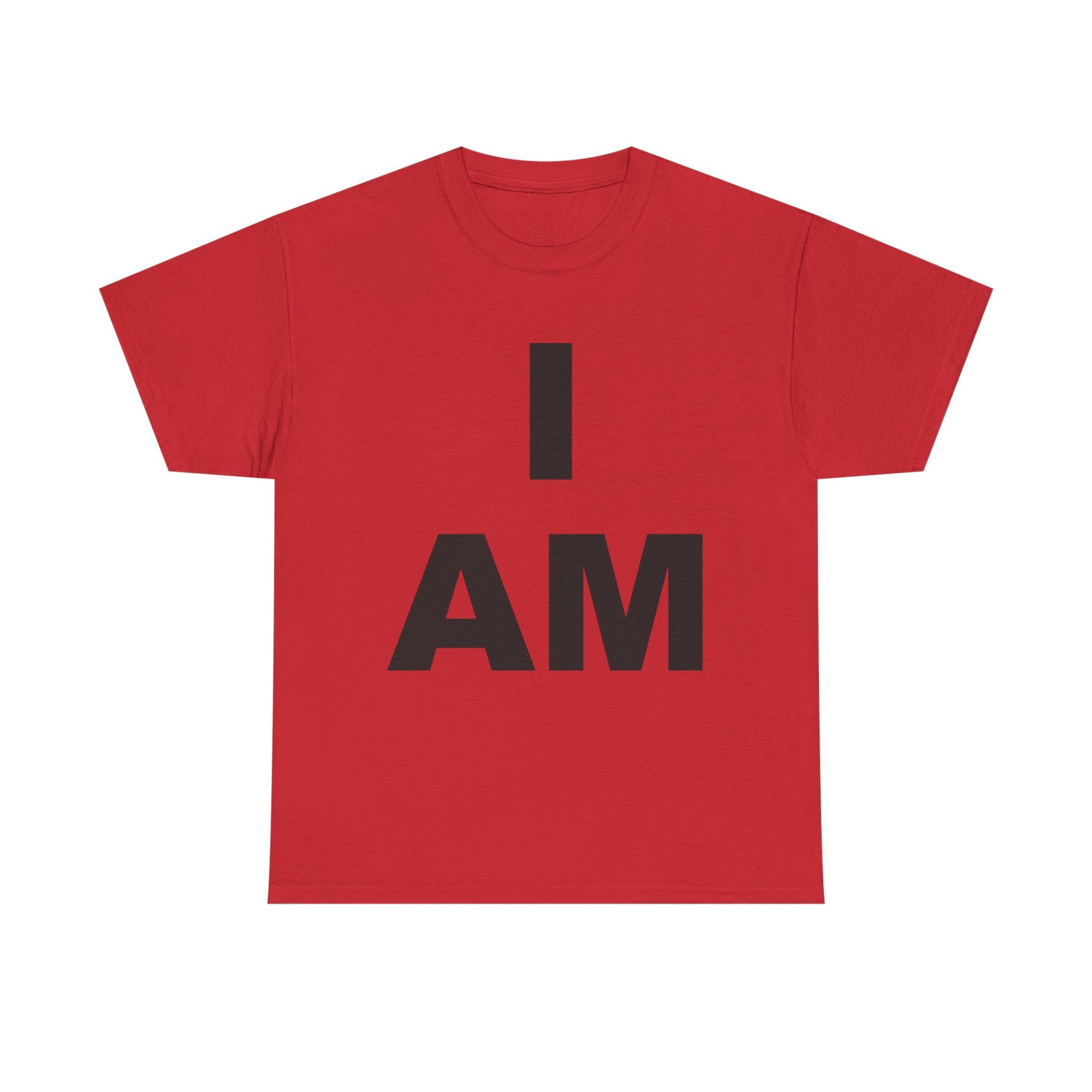 “I AM” Consciousness Tee – Declare Your Infinite Self 47