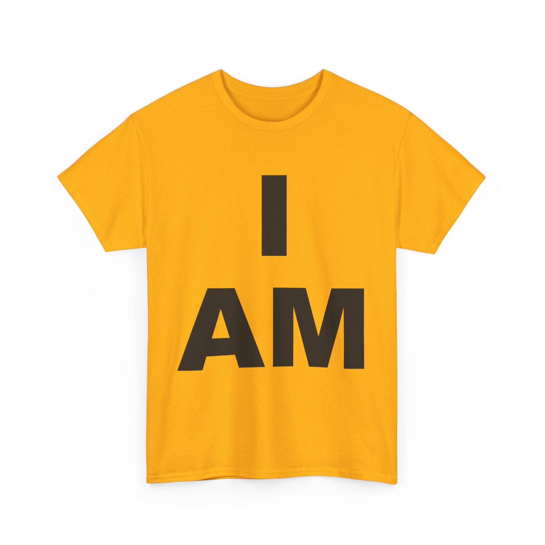 “I AM” Consciousness Tee – Declare Your Infinite Self 17