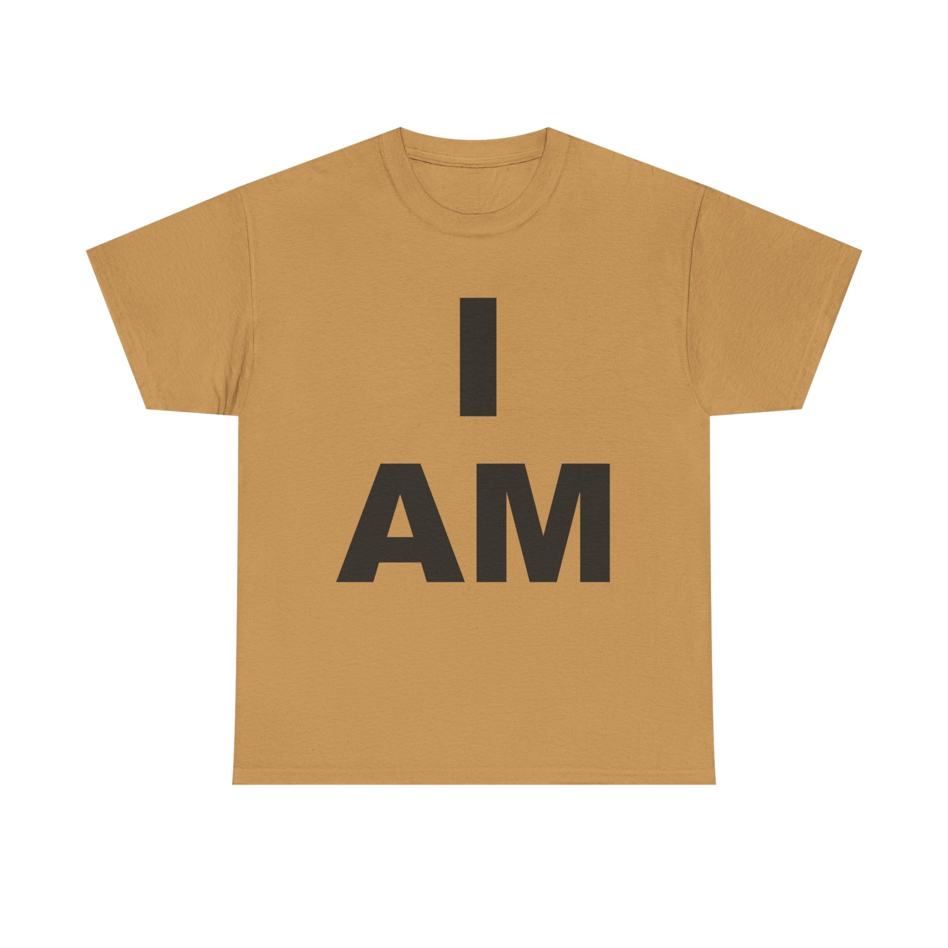 “I AM” Consciousness Tee – Declare Your Infinite Self 19